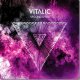 Vitalic - Second Lives The Bloody Beetroots Remix