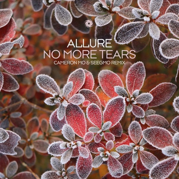 Allure - No More Tears (Cameron Mo & Seegmo Extended Remix)