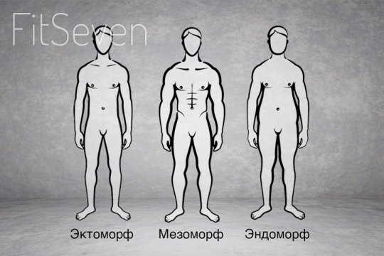 bodytypes-rus