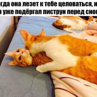 Котэ