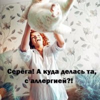 аллергия на кота