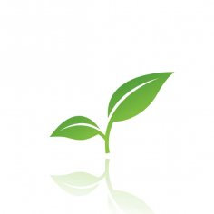 Depositphotos 121661622-stock-photo-green-leaf-icon