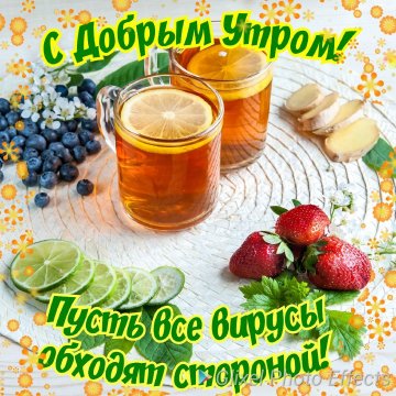 Друзья мои!