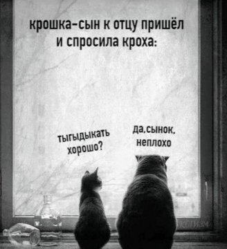 КотЭ)