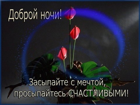 Доброй ночи!