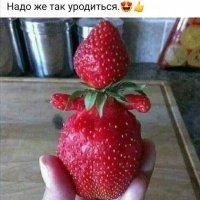 Баба ягодка опять