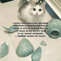 КотЭ)