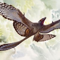 ДИНОЗАВР   Мikroraptor