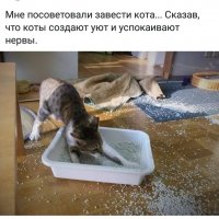 приколы 090057