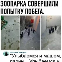 Улыбаемся и машем