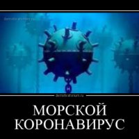 демотиваторы 200070