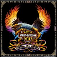 harley-davidson-bird-image--