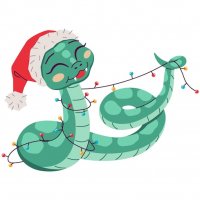 Joyful-snake-santa-hat-with-fairy-l