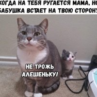 Бабушка заступница