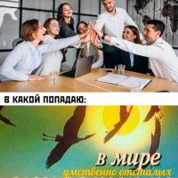 Зоопарк дебилов