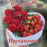 Прекрасного дня Вам!