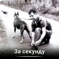 Одна случайность может подорвать все доверие)