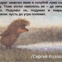 Удивляйтесь прекрасному