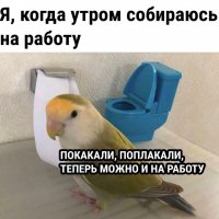 На работу