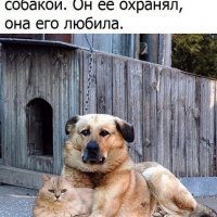 Жизнь