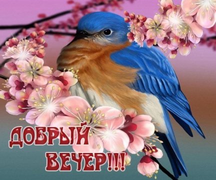 Добрый вечер!!!