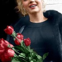 marilyn monroe roses