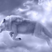 sky wolf