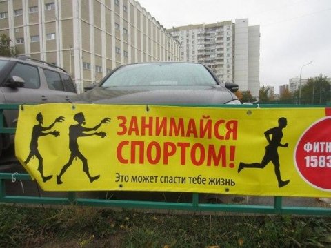 Спорт