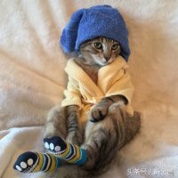 When it's cold - Aww post