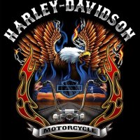 4d372f847d4ccbaa0bd3d41df941d238--biker-wear-harley-davidson-