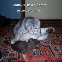 Выход вон там...