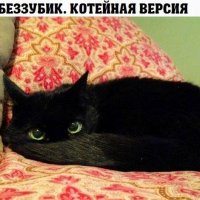 КотЭ)