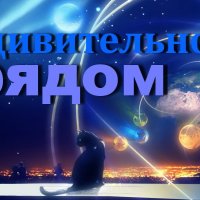 кошка-и-миры