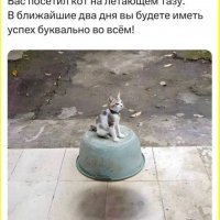 Bас посетил кот