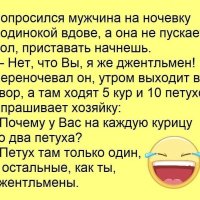 Джентльмены