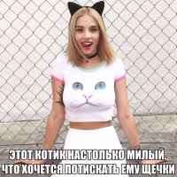 голубоглазый котэ