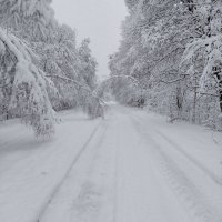 Вот такой первый снег в этом году красота!