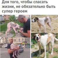 Спасать жизни