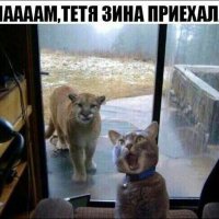 Тетя Зина приехала