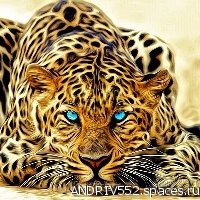 LEOPARD 3D kartinki dlja androida-