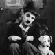 chaplin