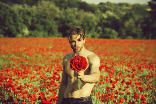 Man-flowers-guy-muscular-body-field-red-poppy-seed-athletic-