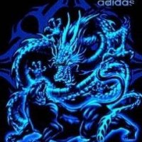 Adidas Dragon-spaces