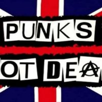 Punks not dead