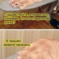 КотЭ)