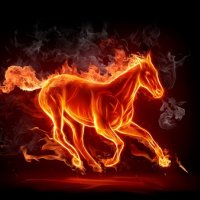 horse-fire-s