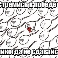 Никогда не сдавайся!!!