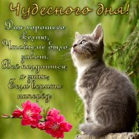 samogo-luchshego-horoshego-dobrogo-udachnogo-prekrasnogo-chud