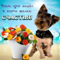 счастья 000851