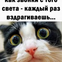 КотЭ)